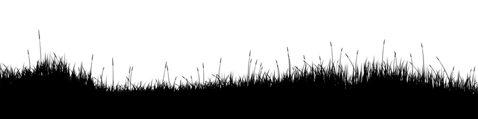 Fototapeta premium Meadow silhouette with grass, plants on plain. Panoramic summer lawn landscape with herbs, various weeds. Herbal border, frame element. Black horizontal banners. Vector illustration