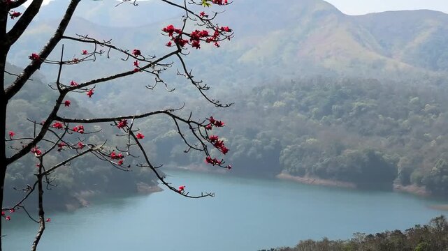 The reservoir and surroundings of Idukki Dam as seen from Hill View Park, Idukki, Kerala, India