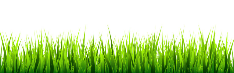 Fototapeta premium Meadow silhouette with green grass, plants on plain. Panoramic summer lawn landscape with herbs, various weeds. Herbal border, frame element. Black horizontal banners. Vector illustration