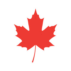 Vibrant red maple leaf on white background showcasing iconic canadian symbol and autumn foliage beauty in simple minimalist design