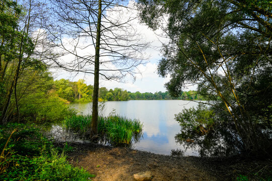 View of the Silbersee lake and the surrounding nature. Landscape by the lake near Leverkusen.
