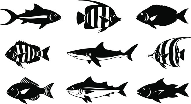 Set of nine black fish silhouettes including shark and tropical species isolated on white for marine life patterns cad drawing flat vector illustration