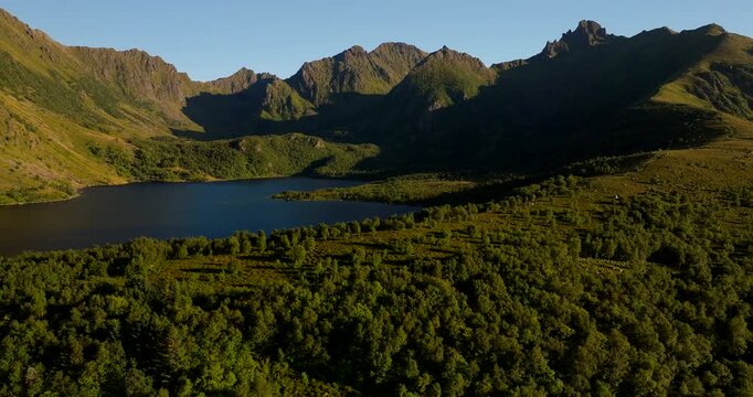 Tranquil Norwegian Scenery, Teigvatnet Lakeside Greenery, Aerial View