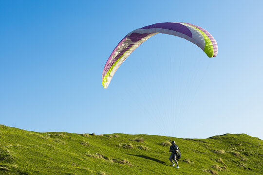 Colorful paraglider takeoff from vibrant green slope, bright purple and lime wing against sunny blue sky. Man in harness starts glide. Thrilling paragliding moment, adventure travel, extreme sport.