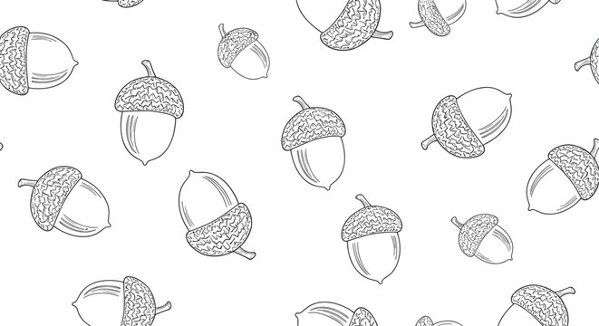 Detailed line art seamless pattern of various acorns scattered on a white background, ideal for autumn-themed designs and nature-inspired prints.
