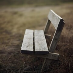 Fototapeta premium bench in the park