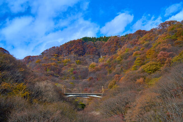秋の群馬県安中市のめがね橋(旧線橋梁)から北側に見る(廃線)碓氷峠新線下り線