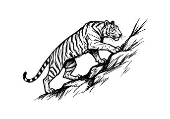 Tiger hand drawn simple sketch vector illustration