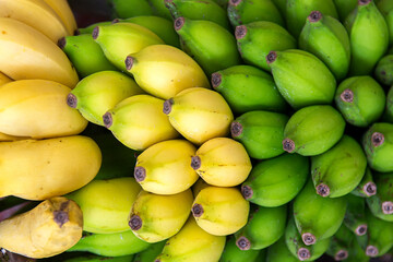 Large Bunches Bananas Various Ripeness
