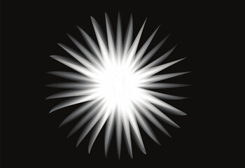 Obraz premium Abstract Starburst Light Effect on Black