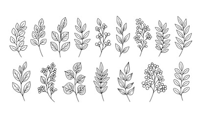 Collection of delicate botanical branch illustrations with leaves and berry clusters isolated on transparent background © MdRoni