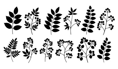 Decorative black and white botanical branch collection with leaves and berries isolated on transparent background © MdRoni