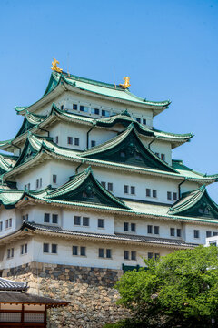 Historic Nagoya Castle with clear blue sky and vibrant greenery