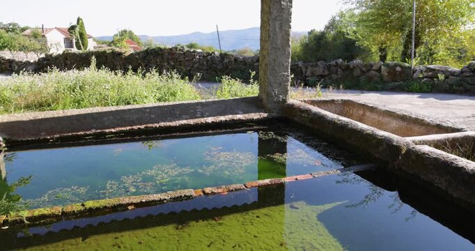 A small pond with green water and a concrete wall