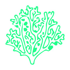 Obraz premium Green Coral Branch Graphic