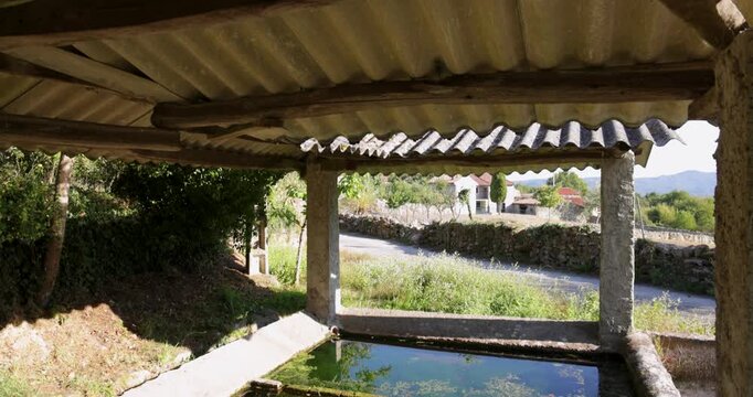 A small pond with green water and a concrete wall
