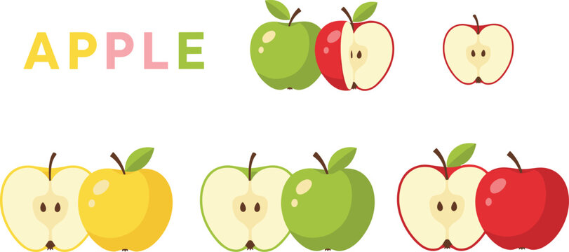 Fresh apple fruit vector set featuring red green and yellow varieties with whole fruits and half slices for healthy eating grocery branding organic orchard harvest and kitchen recipe illustration.