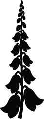 Foxglove silhouette vector art Illustration © JhumaRaniDas