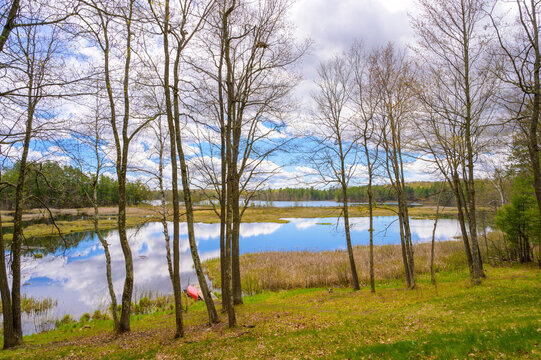 Summer Stillness at the Water&rsquo;s Edge