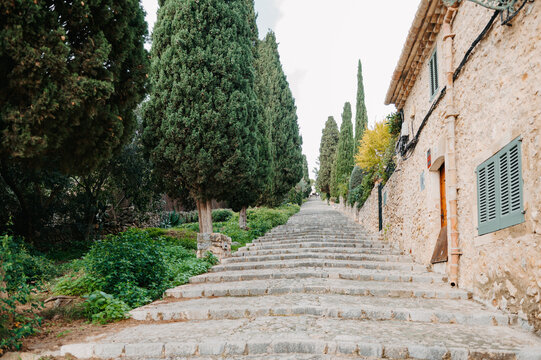 El Calvari steps lined with cypress trees in Pollen&ccedil;a, Mallorca, Spain