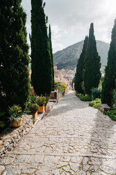 El Calvari staircase with cypress trees in Pollen&ccedil;a, Mallorca