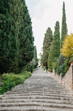 El Calvari steps lined with cypress trees in Pollen&ccedil;a, Mallorca, Spain