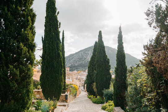 El Calvari steps framed by cypress trees in Pollen&ccedil;a, Mallorca
