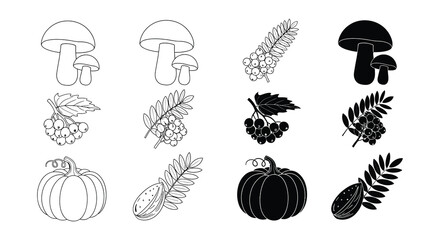 Vintage botanical illustration featuring mushrooms pumpkin and berry branches © Nayem