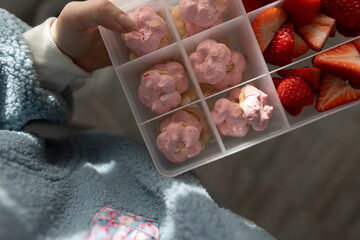 Overhead view snack tray held by child with pink flower treats and sliced strawberries in divided container, soft fleece sleeve, natural window light, intimate home kitchen moment © Anastasia