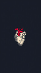 Anatomical White Human Heart On Dark Background
