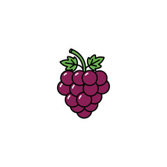 Cartoon Purple Grape Cluster Vector Illustration © Ani