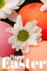 Fototapeta premium Colorful eggs with flowers celebrate Easter in spring sunshine at a joyful gathering