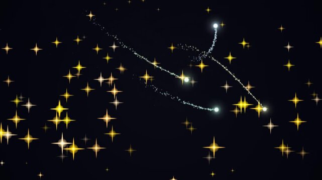 Night Sky Constellation Stars Shining Brightly.
