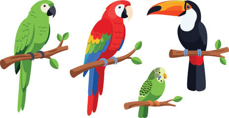 Fototapeta premium Tropical parrot and toucan vector set with exotic colorful birds perched on branches for wildlife jungle nature illustration design.