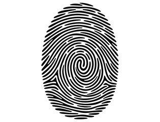 fingerprint on a white background