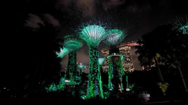 Spectacular light show at Gardens by the Bay Singapore featuring beautiful illuminated trees and vibrant night atmosphere in Asian travel destination