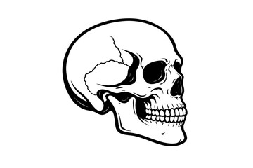 Obraz premium Detailed black and white human skull illustration, a stylized anatomical graphic perfect for gothic themes, Halloween decor, educational use, or bold tattoo designs. This skeletal image features sharp