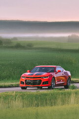 Fototapeta premium Modern muscle car cruising past green fields