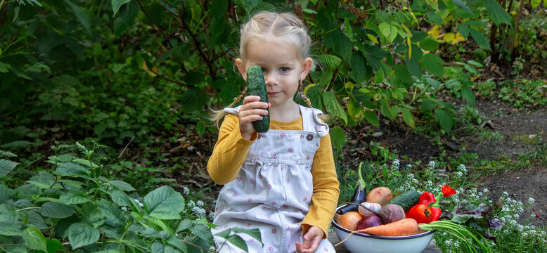 Little girl eating fresh cucumber in the garden near a bowl of vegetables.