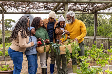African American multi-gen family harvesting carrots leeks beets in garden under pergola with crate
