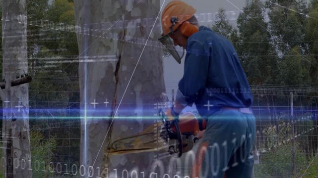 Arborist starting chainsaw, cutting trunk making notch for utility safety, binary overlaying scene