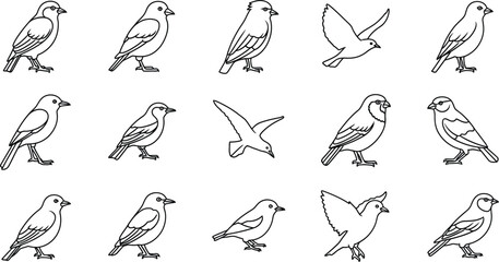 Fototapeta premium seamless background with birds