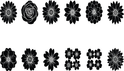 Collection of twelve stylized flower silhouette illustrations featuring diverse petal shapes, clusters, and creative floral patterns for design themes © Moshraful