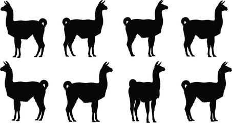 African Safari Silhouette Scenes Collection with Elephants, Giraffes, Gazelles, Acacia Trees, and Tourists in Jeep, Isolated on White Background for Wildlife Designs © Robiul