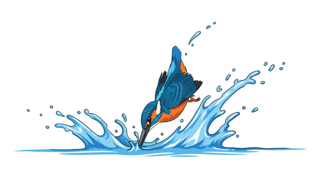 A detailed blue and orange kingfisher bird is vigorously diving into water, generating substantial blue splashes.