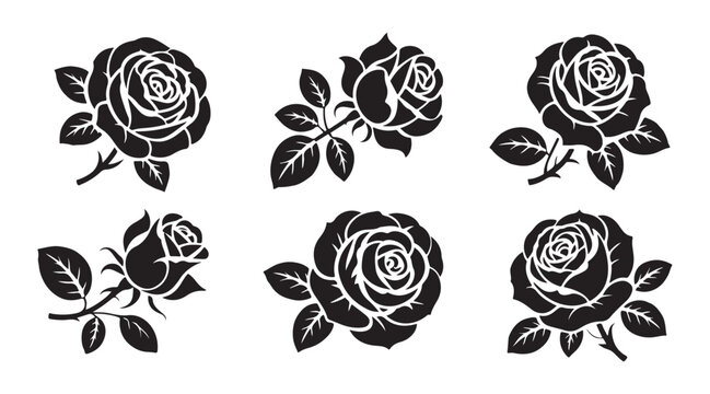 Set of six rose flower silhouettes with leaves isolated on white background beautiful floral decorative elements