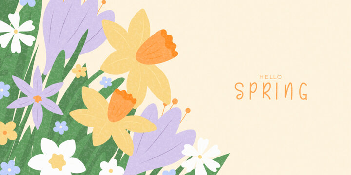 Cute background Hello Spring. Floral background with Spring blooming flowers crocuses, daisies, narcissus. Vector card for nature-inspired design, seasonal holiday, branding, cover, card, ads, banner.