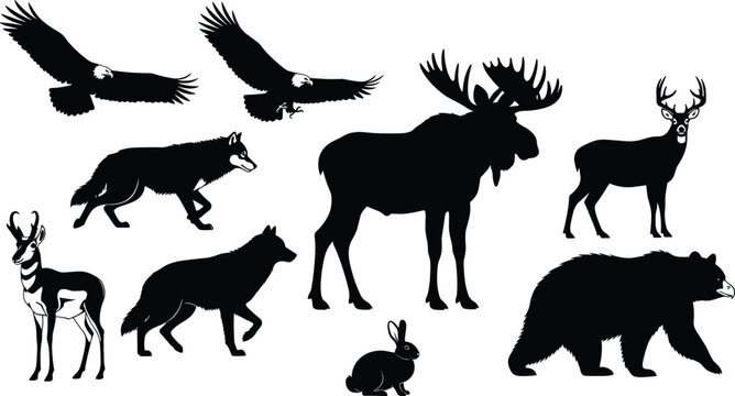 North American Wildlife Silhouette Vector Set Featuring Eagle Wolf Moose Bear Deer Pronghorn and Rabbit for Nature Conservation and Outdoor Graphics