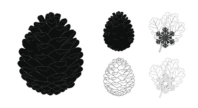 Black and white botanical illustrations of pine cones and leaves