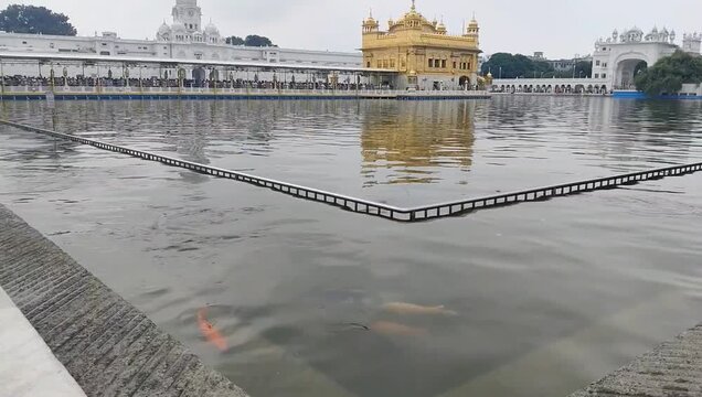 Beautiful view of Golden Temple - Harmandir Sahib in Amritsar, Punjab, India, Famous indian sikh landmark, Golden Temple, the main sanctuary of Sikhs in Amritsar, India
